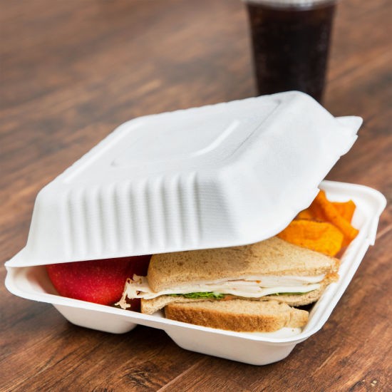 Bagasse Food Container
