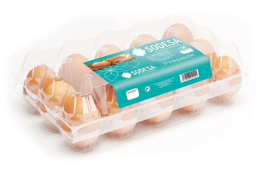 prepack 1x15 egg packaging