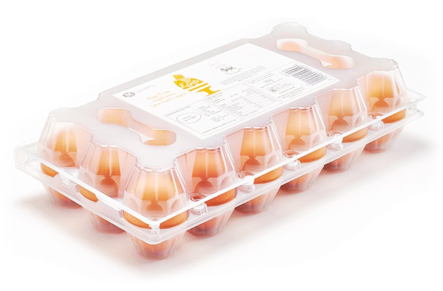 prepack 1x18 egg packaging