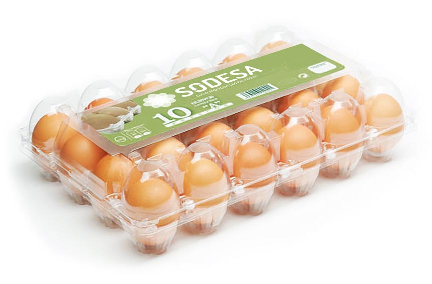 prepack ECO egg packaging 1x24
