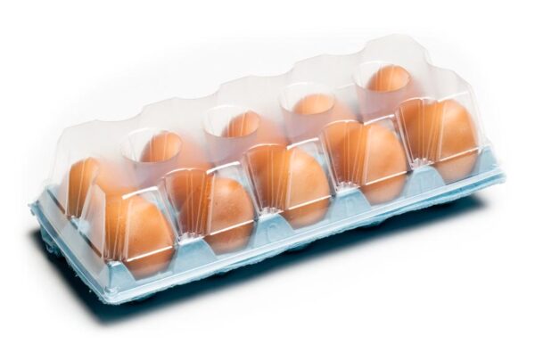 family pack retail egg packaging TF10