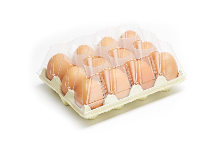 family pack egg packaging retail tf12