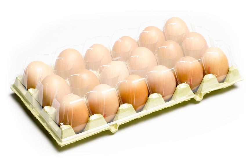 family pack retail egg packaging 18
