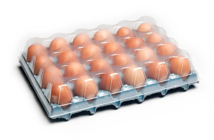 Family Pack 24 Flat Top egg packaging